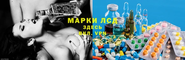 дмт Белокуриха