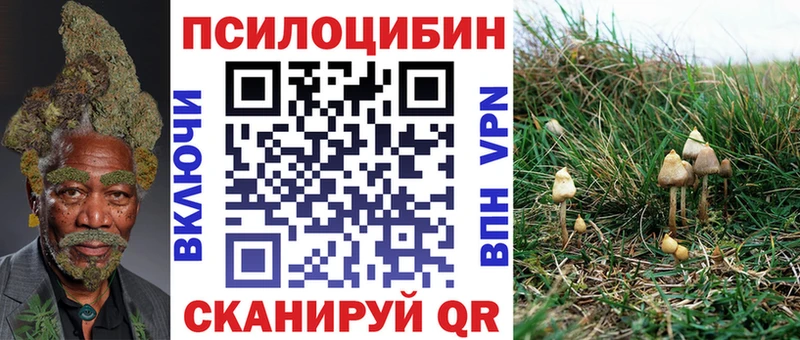 Псилоцибиновые грибы ЛСД мега ССЫЛКА Бирюч